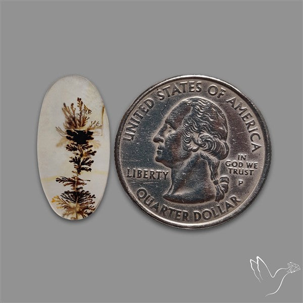Scenic Agate Cabochon