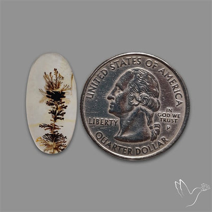 Scenic Agate Cabochon