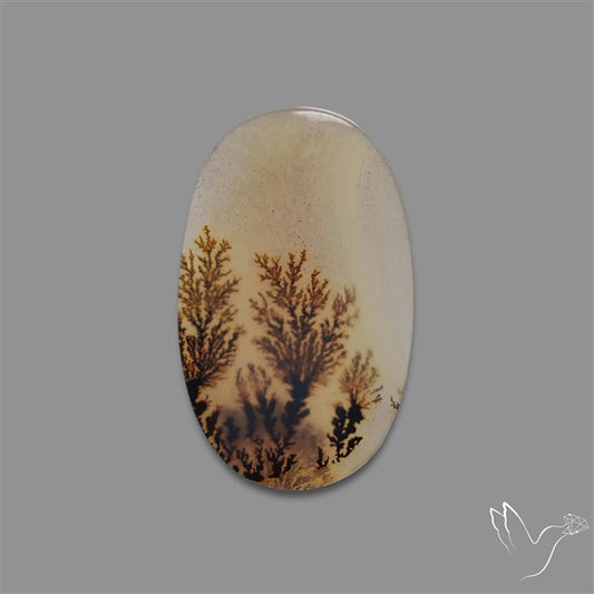 Scenic Agate Cabochon