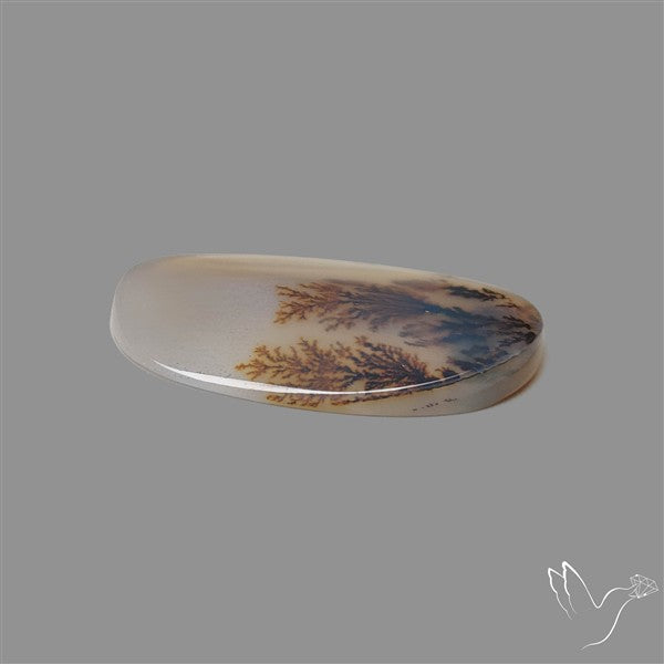 Scenic Agate Cabochon