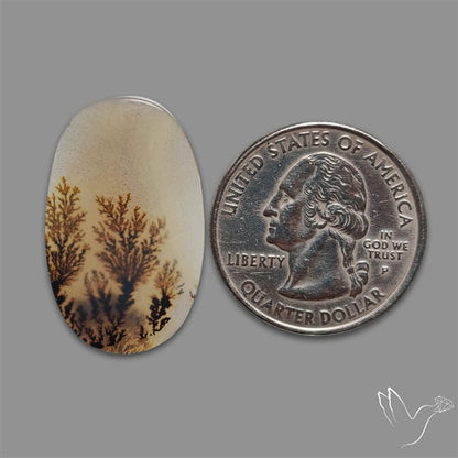 Scenic Agate Cabochon