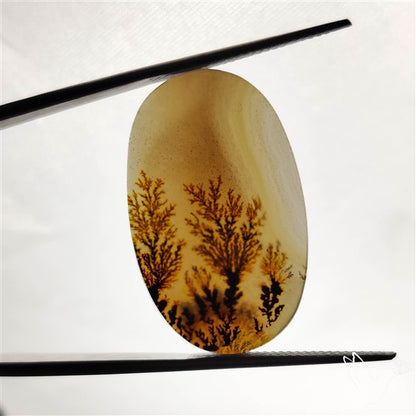 Scenic Agate Cabochon