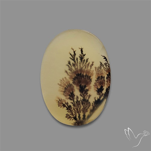 Scenic Agate Cabochon