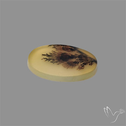 Scenic Agate Cabochon