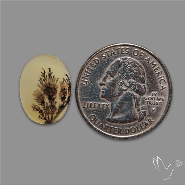 Scenic Agate Cabochon