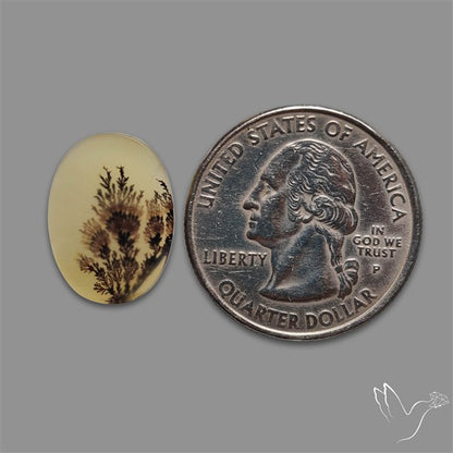 Scenic Agate Cabochon