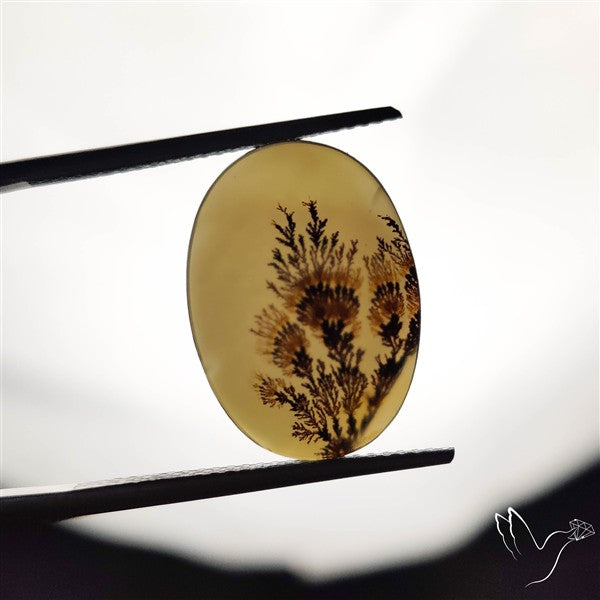Scenic Agate Cabochon