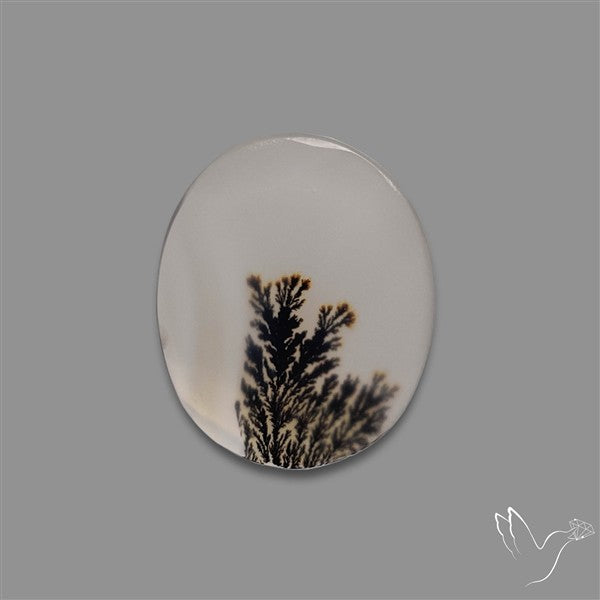 Scenic Agate Cabochon