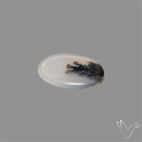 Scenic Agate Cabochon