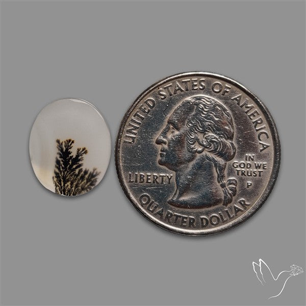 Scenic Agate Cabochon