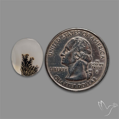 Scenic Agate Cabochon