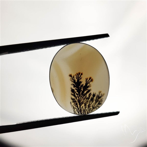 Scenic Agate Cabochon