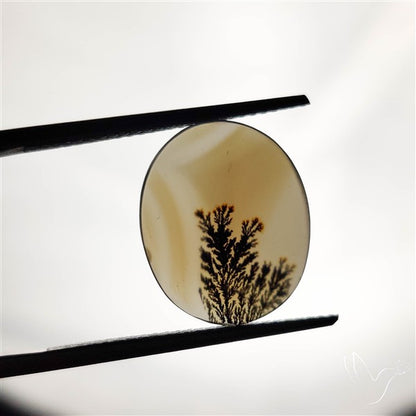 Scenic Agate Cabochon
