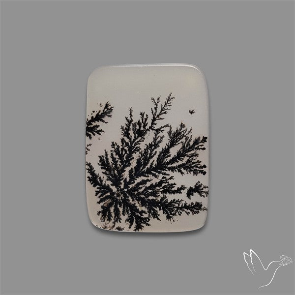 Scenic Agate Cabochon
