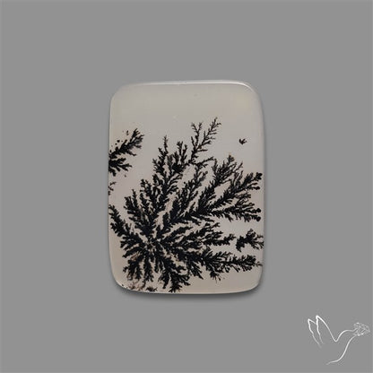 Scenic Agate Cabochon