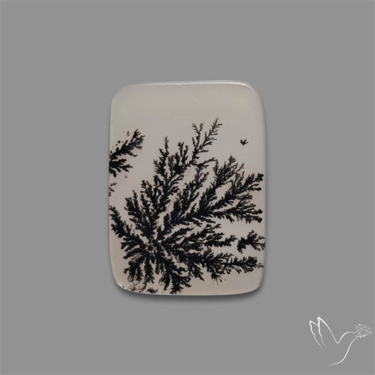 Scenic Agate Cabochon