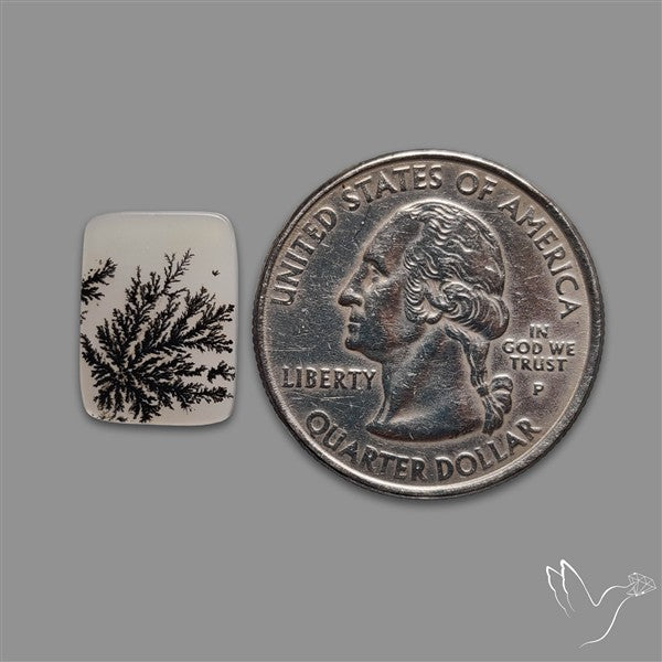 Scenic Agate Cabochon
