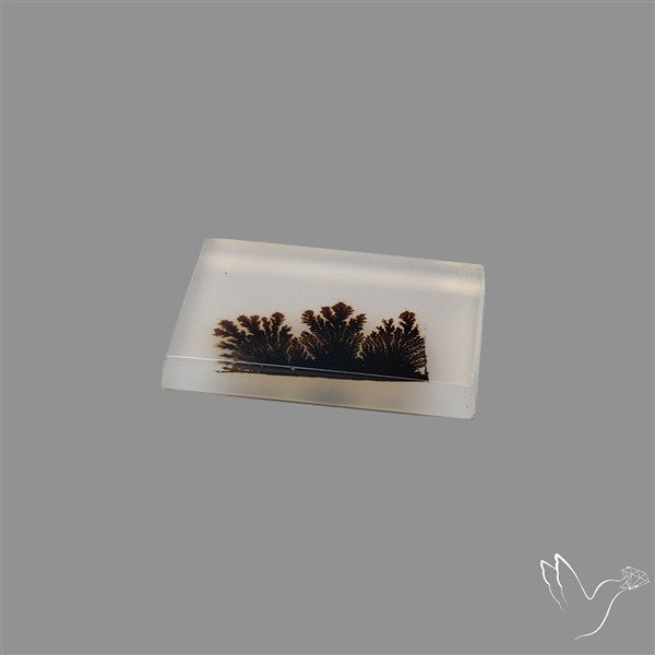 Scenic Agate Cabochon