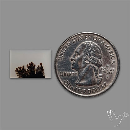 Scenic Agate Cabochon