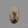 Scenic Agate Cabochon