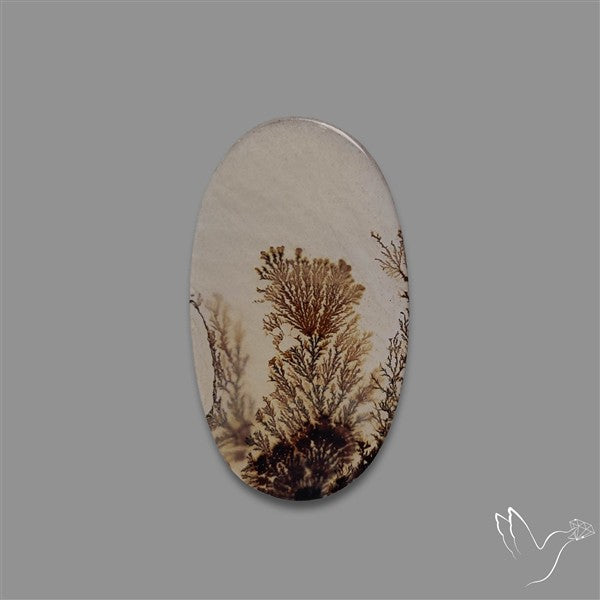 Scenic Agate Cabochon