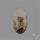 Scenic Agate Cabochon