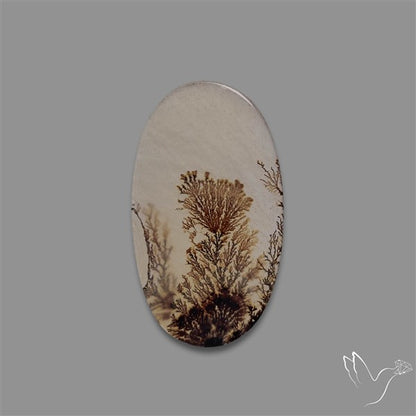 Scenic Agate Cabochon