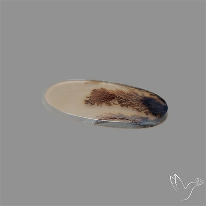 Scenic Agate Cabochon