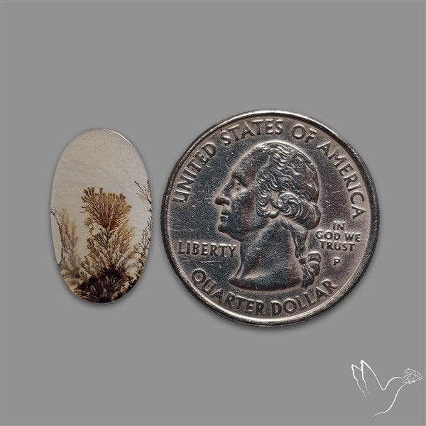 Scenic Agate Cabochon