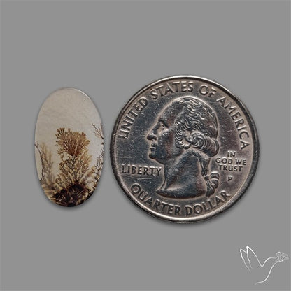 Scenic Agate Cabochon