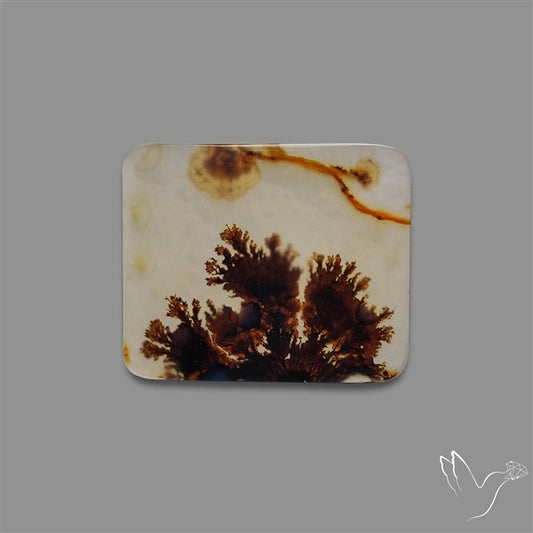 Scenic Agate Cabochon