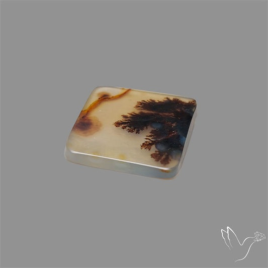 Scenic Agate Cabochon