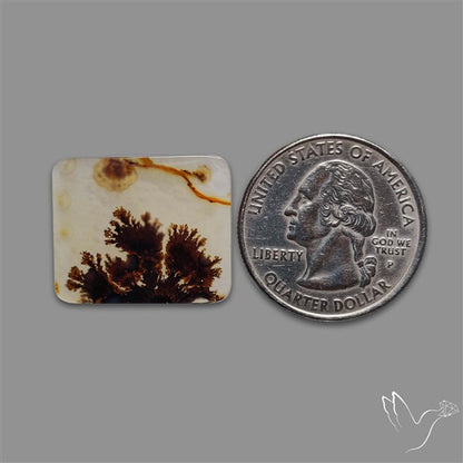 Scenic Agate Cabochon