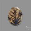 Scenic Agate Cabochon