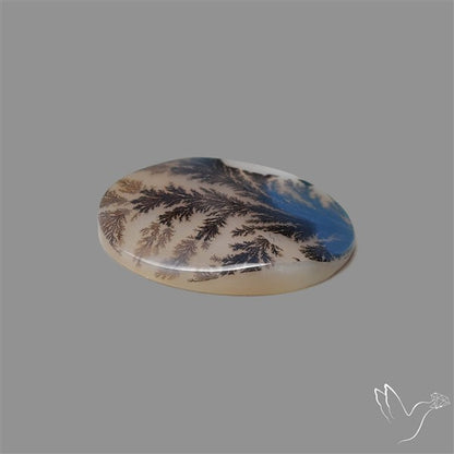 Scenic Agate Cabochon