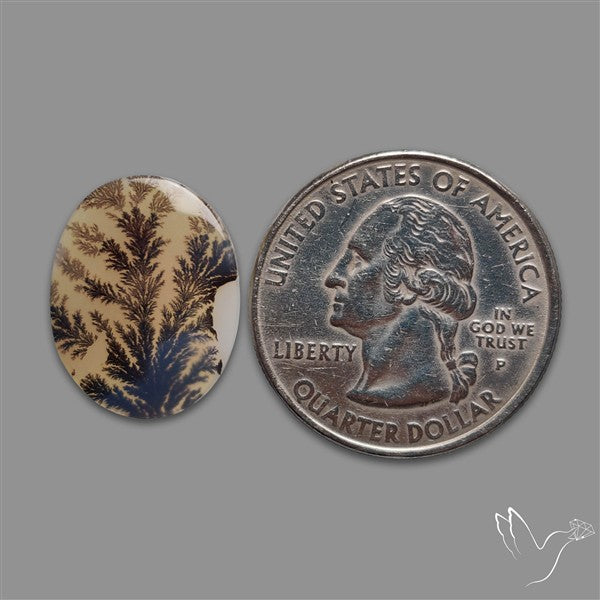 Scenic Agate Cabochon