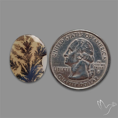 Scenic Agate Cabochon