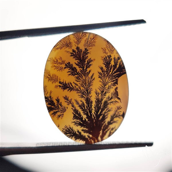 Scenic Agate Cabochon