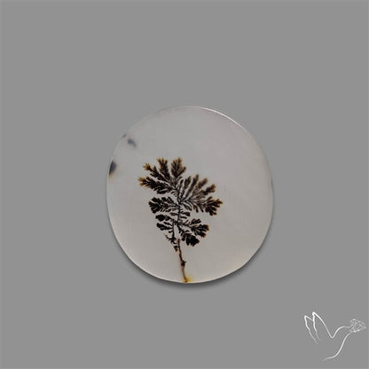 Scenic Agate Cabochon