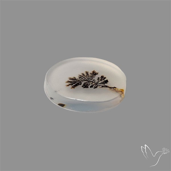 Scenic Agate Cabochon