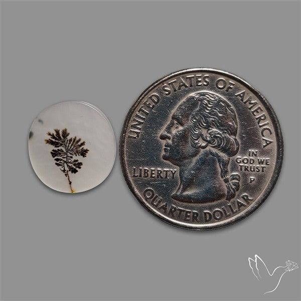 Scenic Agate Cabochon