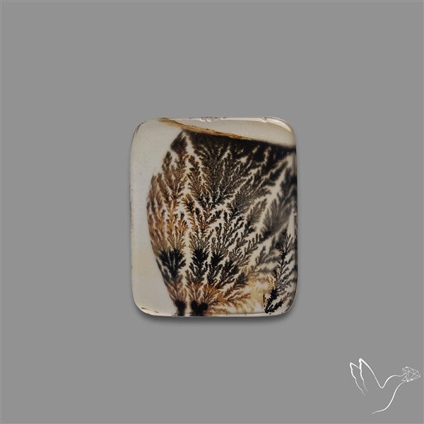 Scenic Agate Cabochon
