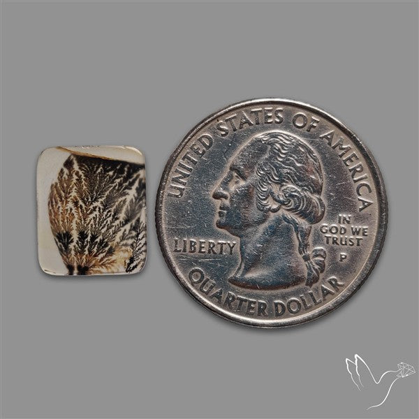 Scenic Agate Cabochon