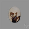 Scenic Agate Cabochon