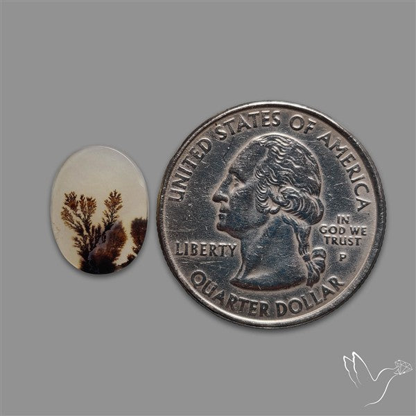 Scenic Agate Cabochon