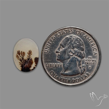 Scenic Agate Cabochon