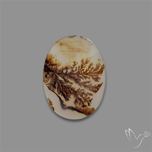 Scenic Agate Cabochon