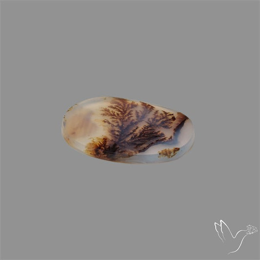 Scenic Agate Cabochon