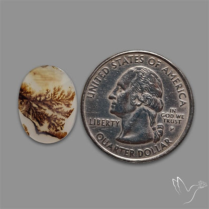 Scenic Agate Cabochon
