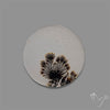 Scenic Agate Cabochon